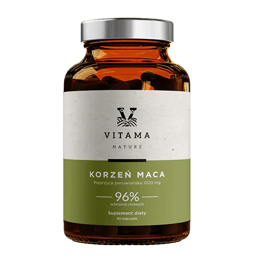 korzen maca