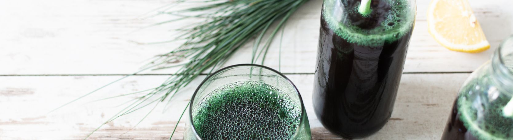 najskuteczniejsze skladniki suplementow wspierajacych oczyszczanie organizmu z toksyn2 najskuteczniejsze skladniki suplementow wspierajacych oczyszczanie organizmu z toksyn2