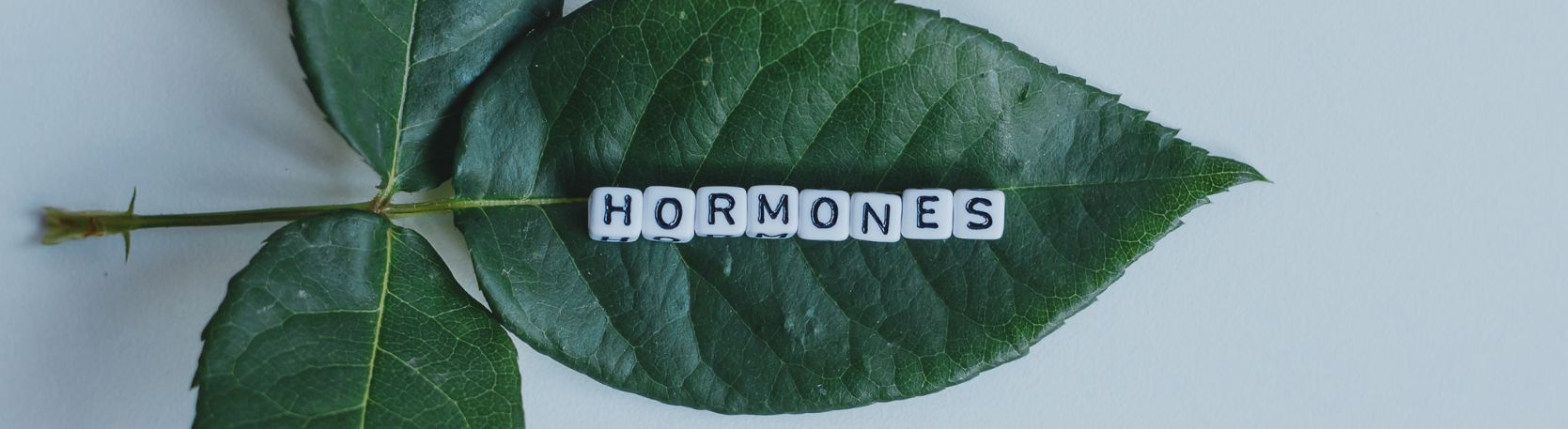 suplementy wspierajace zdrowie ukladu hormonalnego adaptogeny witamina d i inne skladniki2