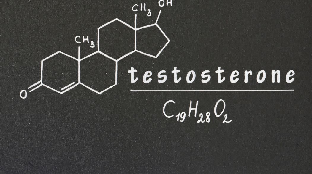 w czym jest najwiecej testosteronu