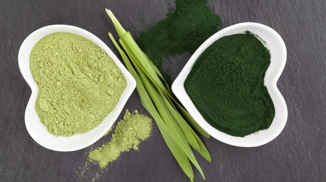 Porównanie chlorelli i spiruliny - co lepiej wspiera florę jelitową?