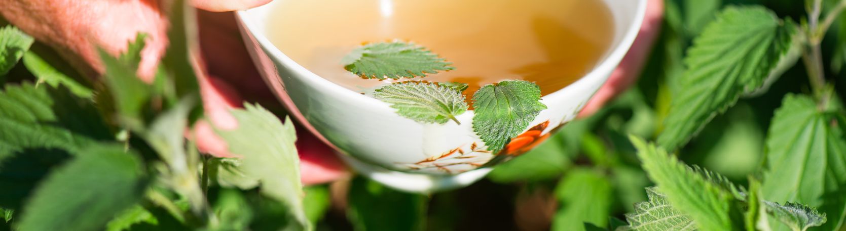 Składniki drenujące w kompleksach - co warto sprawdzać na etykiecie?