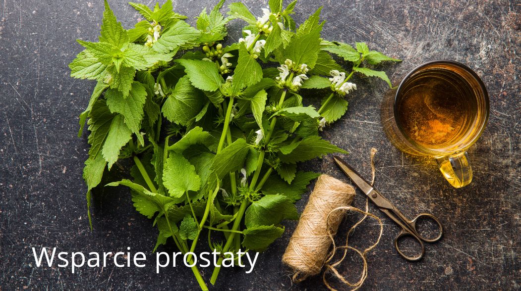 jakie-skladniki-powinien-zawierac-skuteczny-kompleks-na-prostate