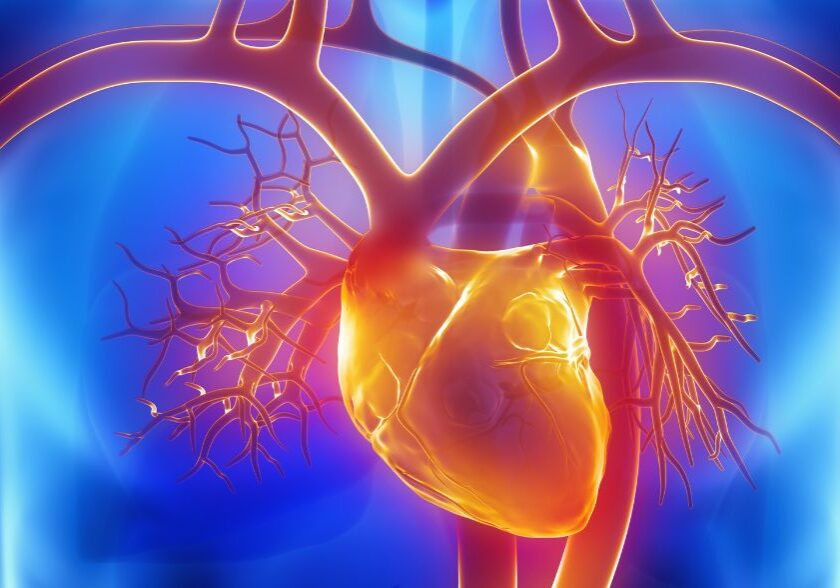 suplementy wspierajace zdrowie ukladu krazenia omega 3 koenzym q10 i inne skladniki