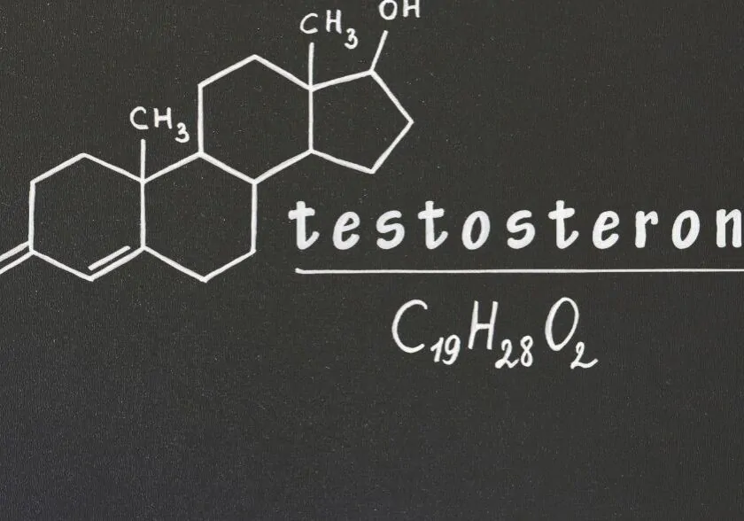 w czym jest najwiecej testosteronu